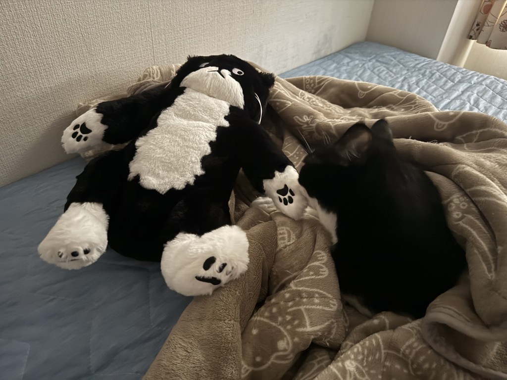 ぬいぐるみ/チェ・ヨンジュ | アフタヌーンティー公式通販サイト