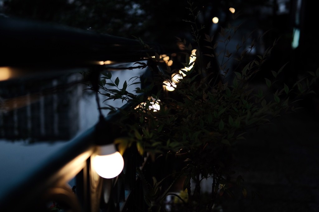 ユーザー写真
