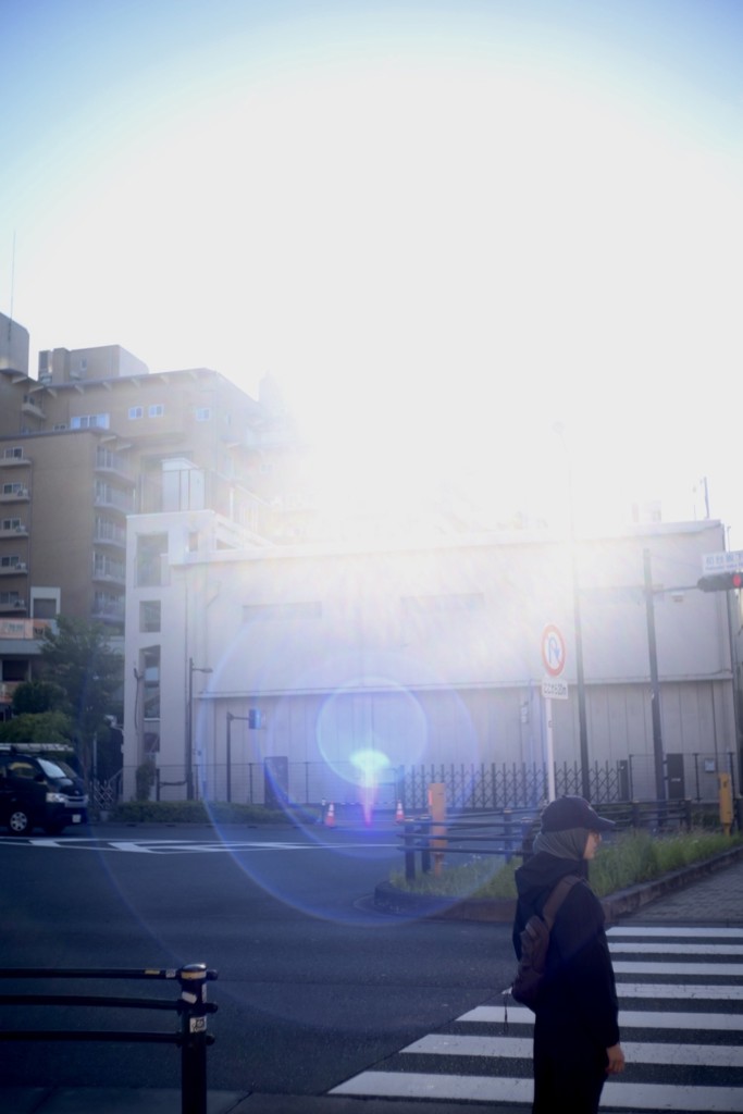 投稿写真