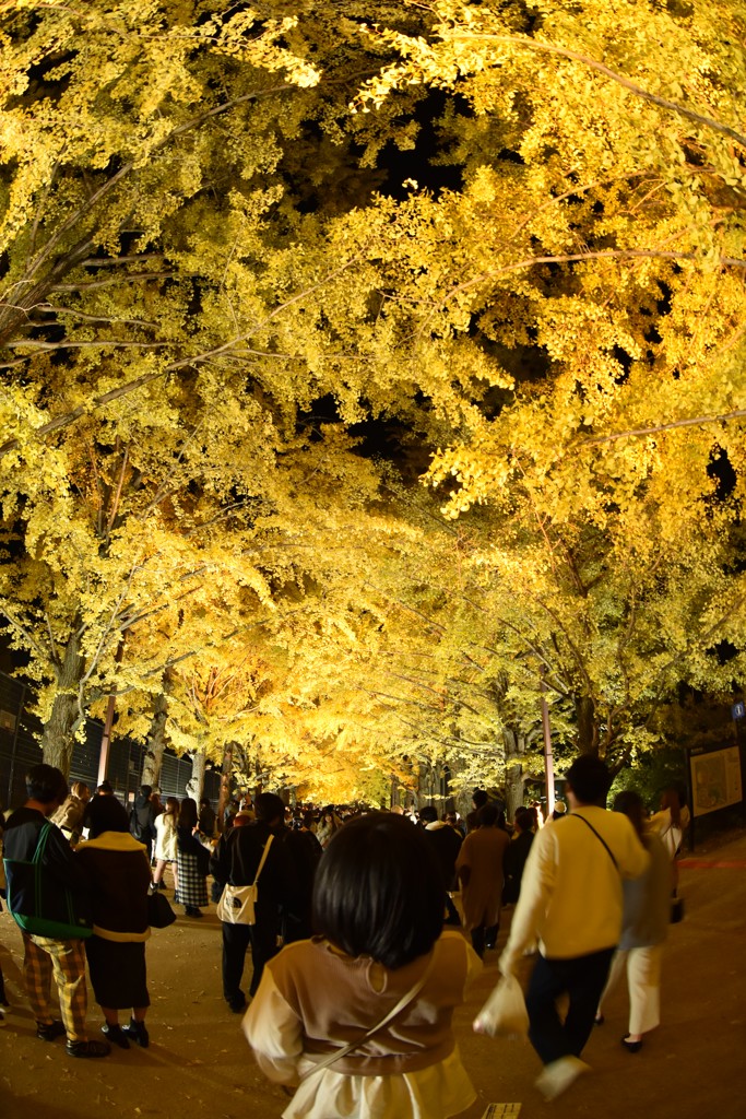 ユーザー写真