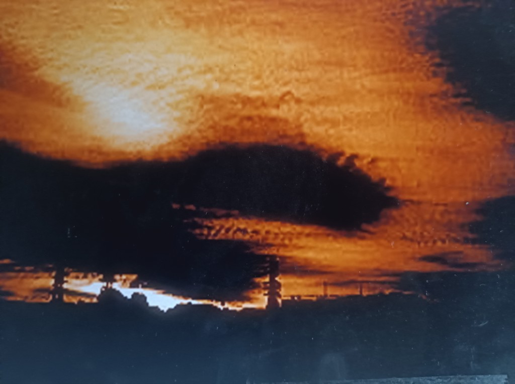 ユーザー写真