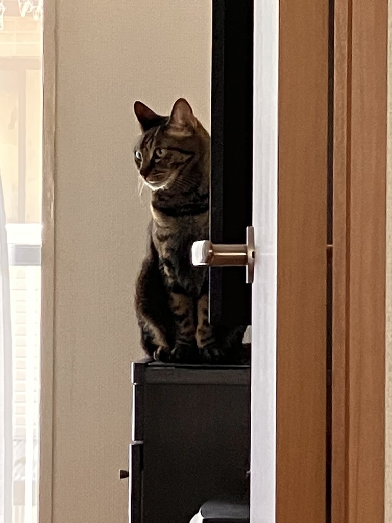 ユーザー写真