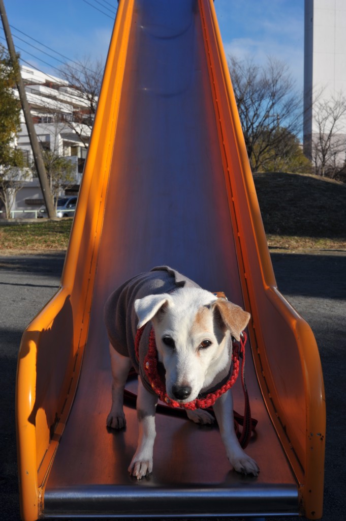 ユーザー写真