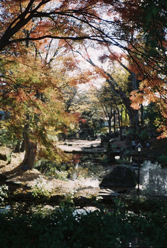 投稿写真