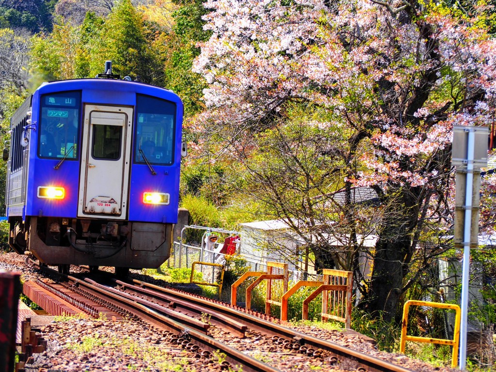 ユーザー写真