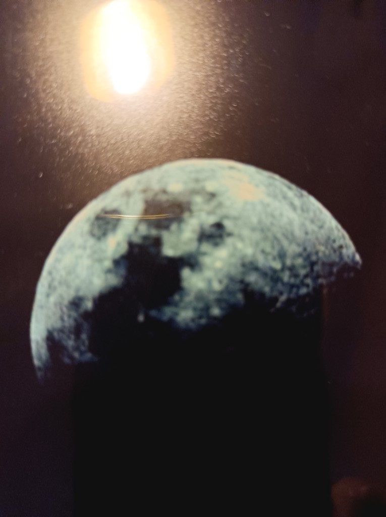 ユーザー写真