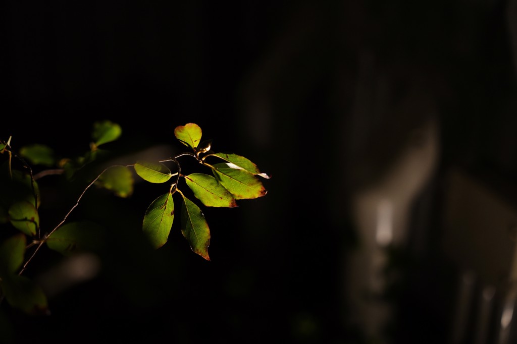 ユーザー写真