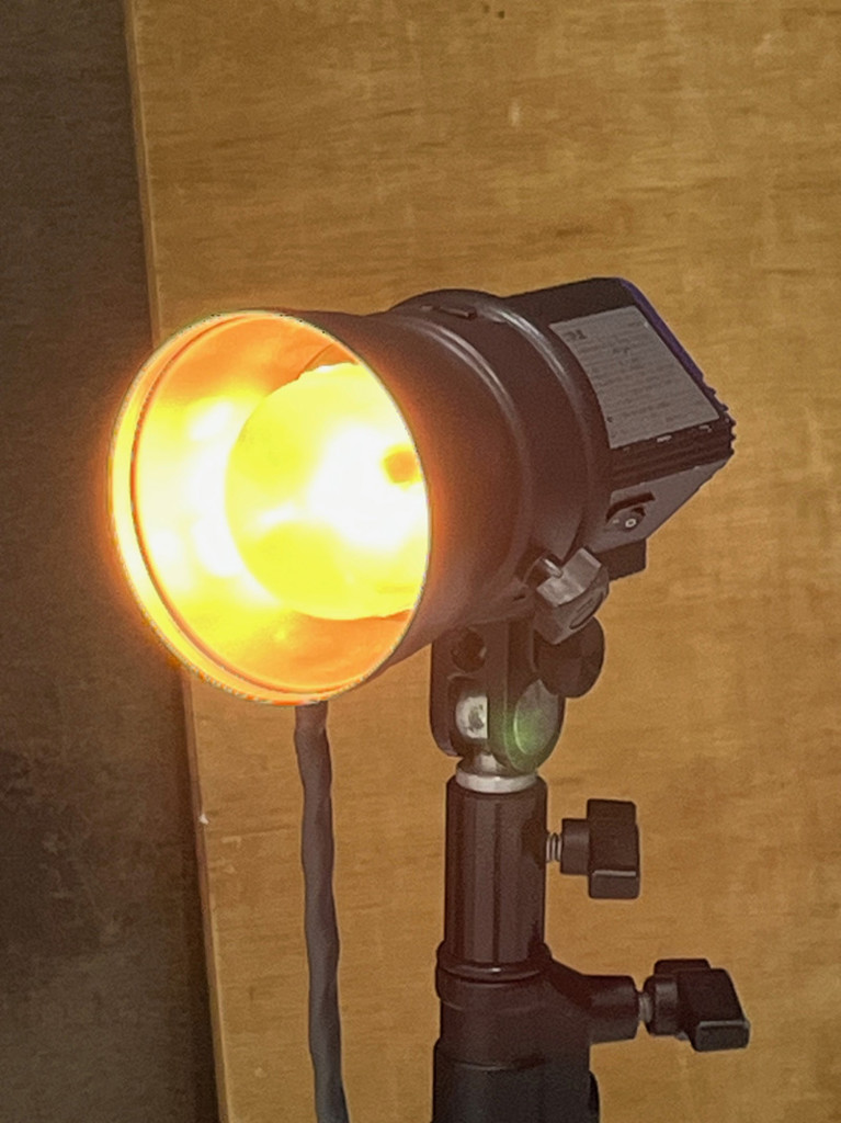 ユーザー写真