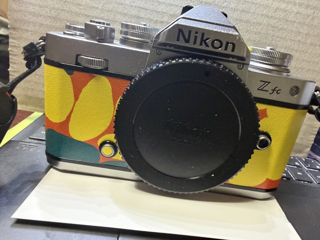 投稿写真