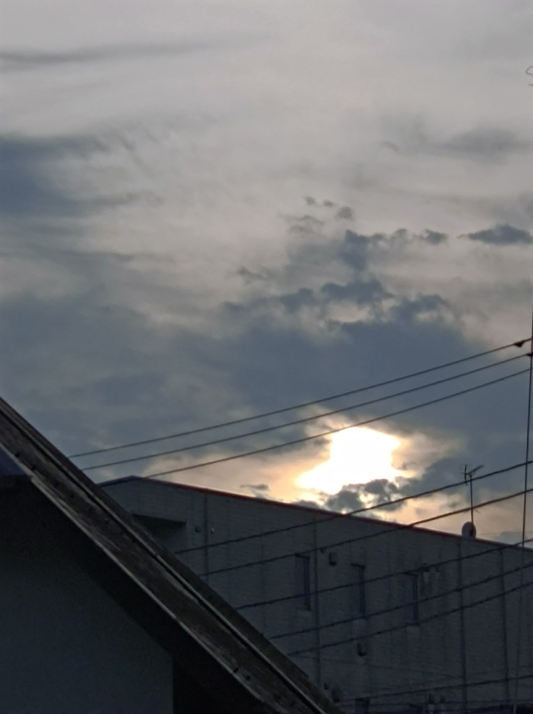 ユーザー写真