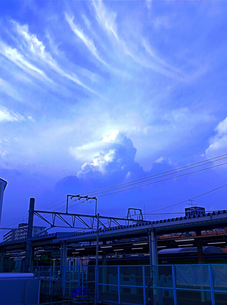 ユーザー写真