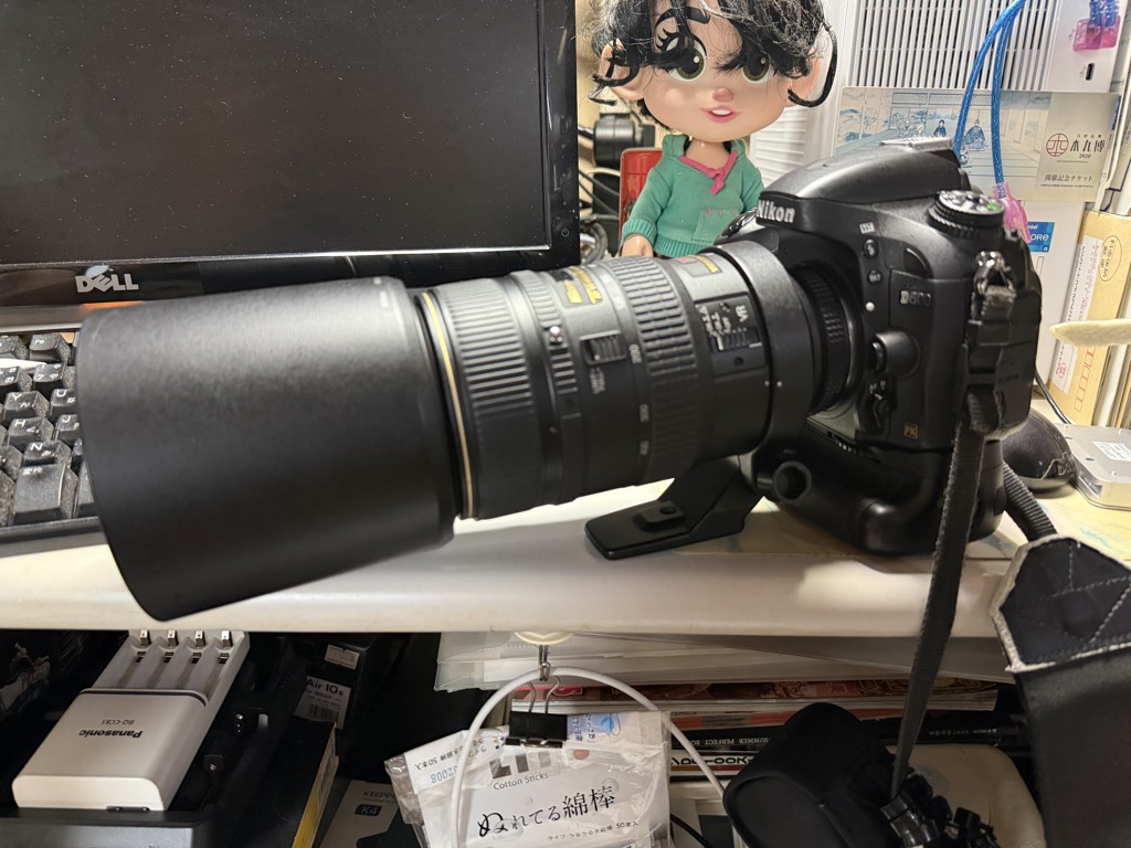 投稿写真