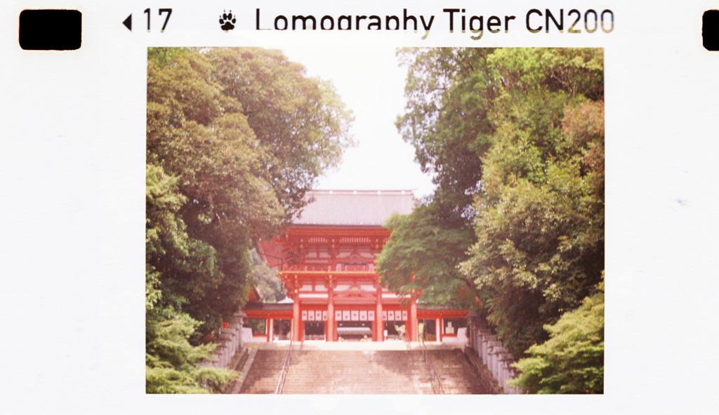 ユーザー写真