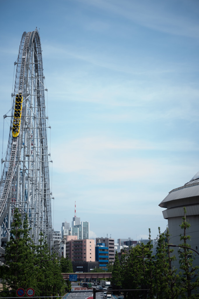ユーザー写真