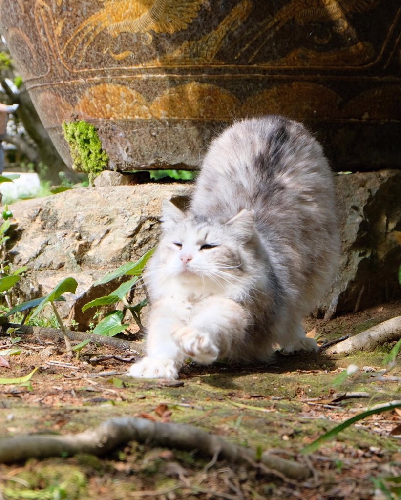 ユーザー写真