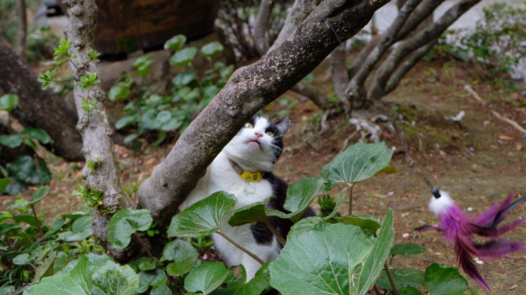 ユーザー写真