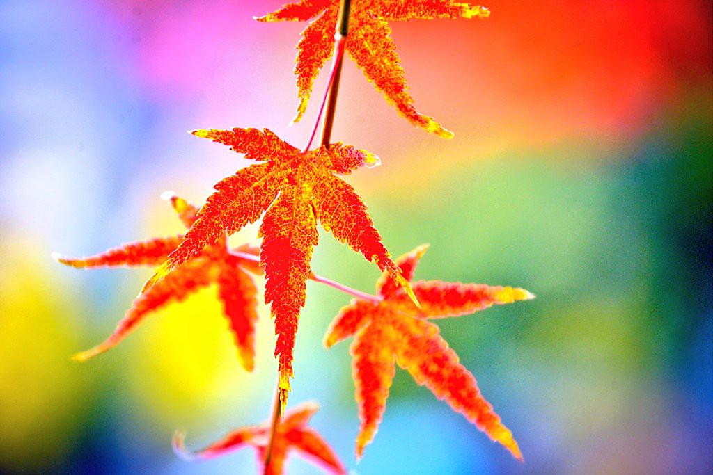 ユーザー写真