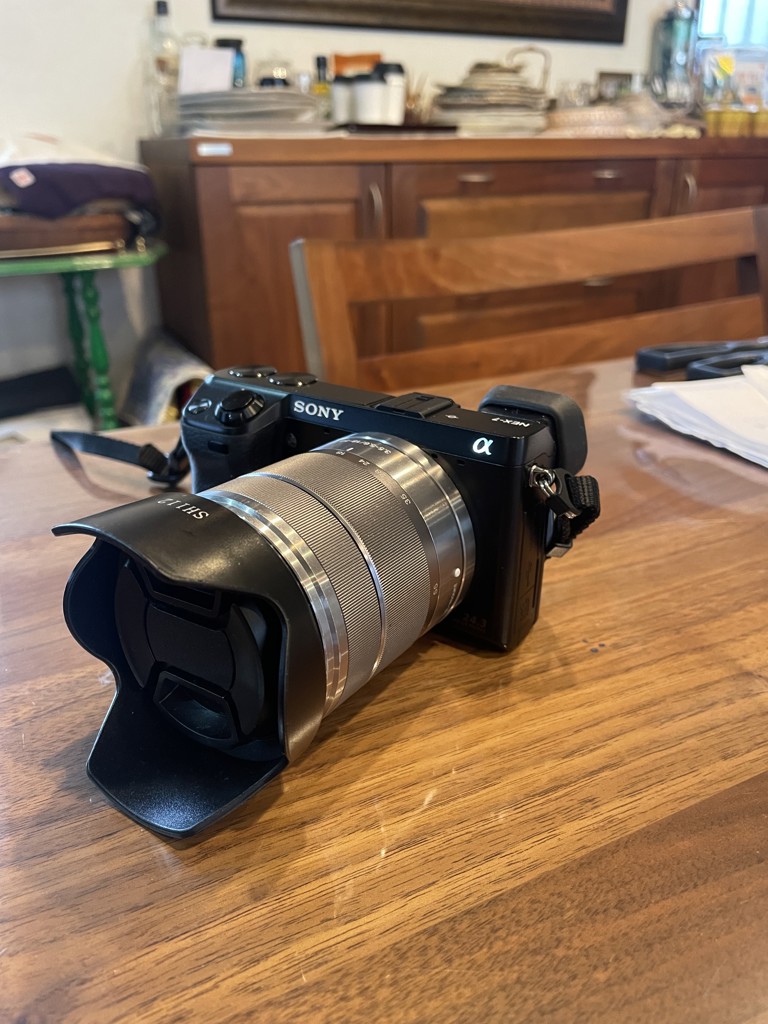 ユーザー写真
