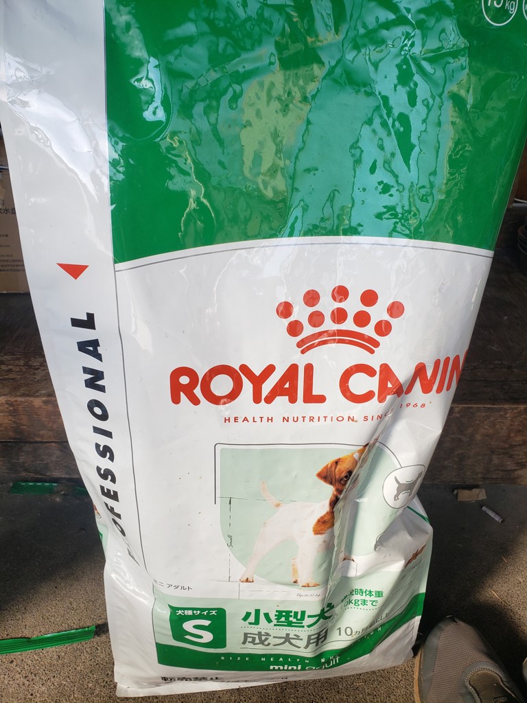 ブリーダー SHN プロ ミニ アダルト 生後10カ月齢以上 小型犬 成犬用 15kg
