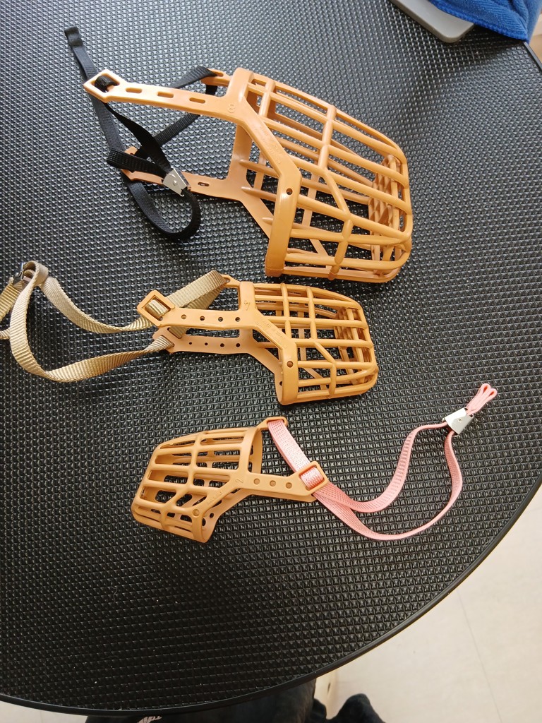 ワンタッチ口輪 ＃4 小～中型犬用（ダックスなど）: 700｜業務用