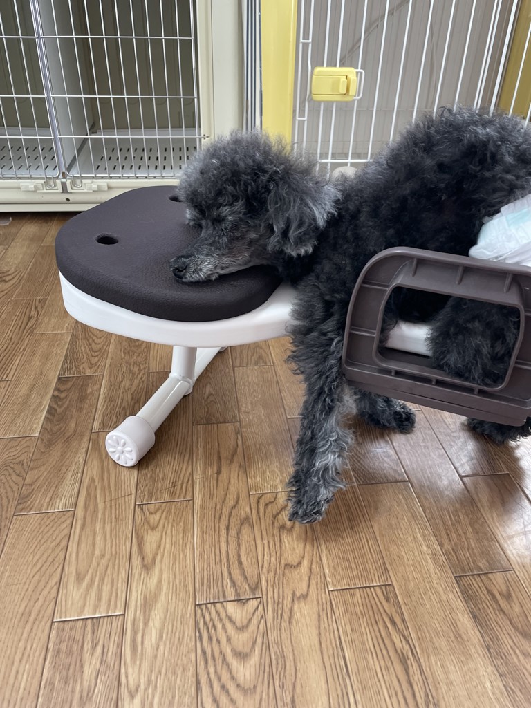 リラたっち トリマータイプ: 300｜業務用トリミング用品通販ショップ