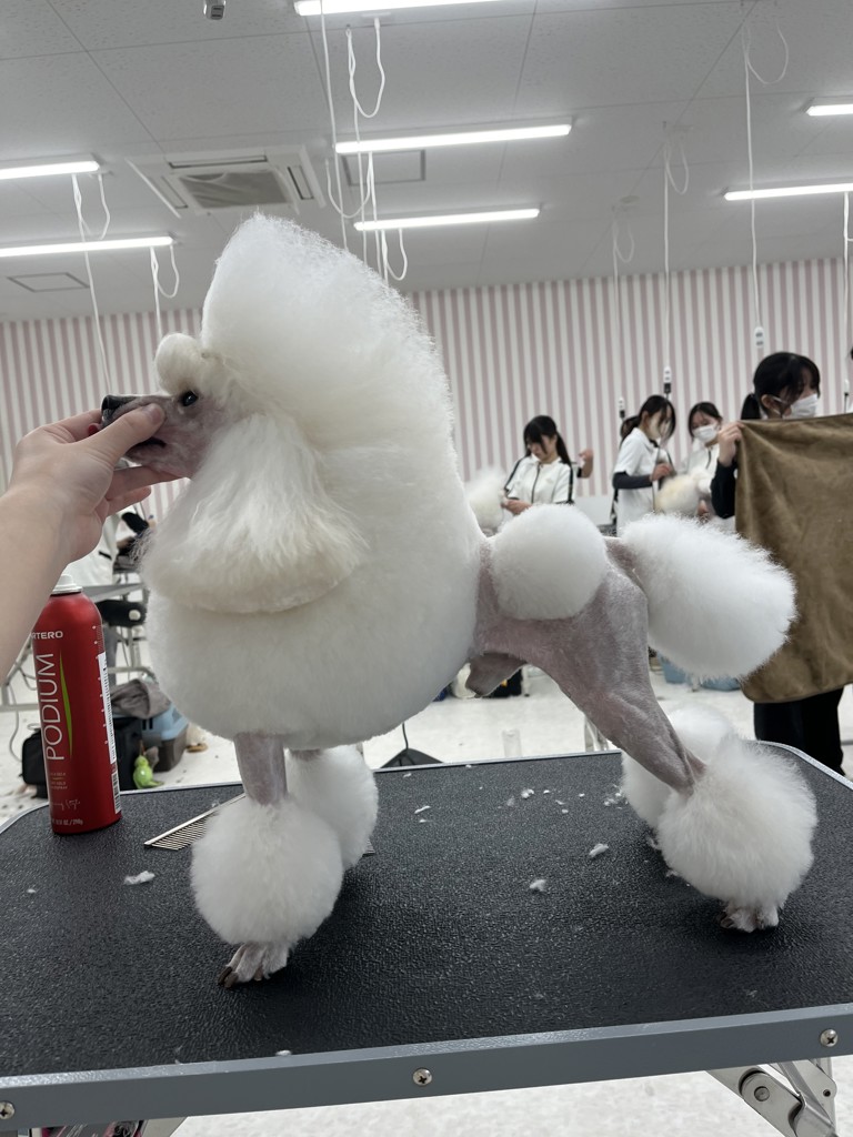 【30本まとめ売】ウアオ スタイリング オフスプレー 140g【セドリ転売OK】 30本まとめ売】ウアオ スタイリング オフスプレー 140g【セドリ