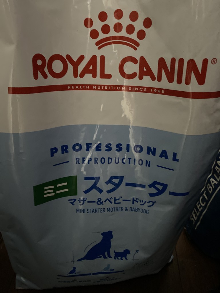  CANIN ミニ スターター 10kg ブリーダー SHN プロ ミニ スターター マザー＆ベビードッグ 10kg