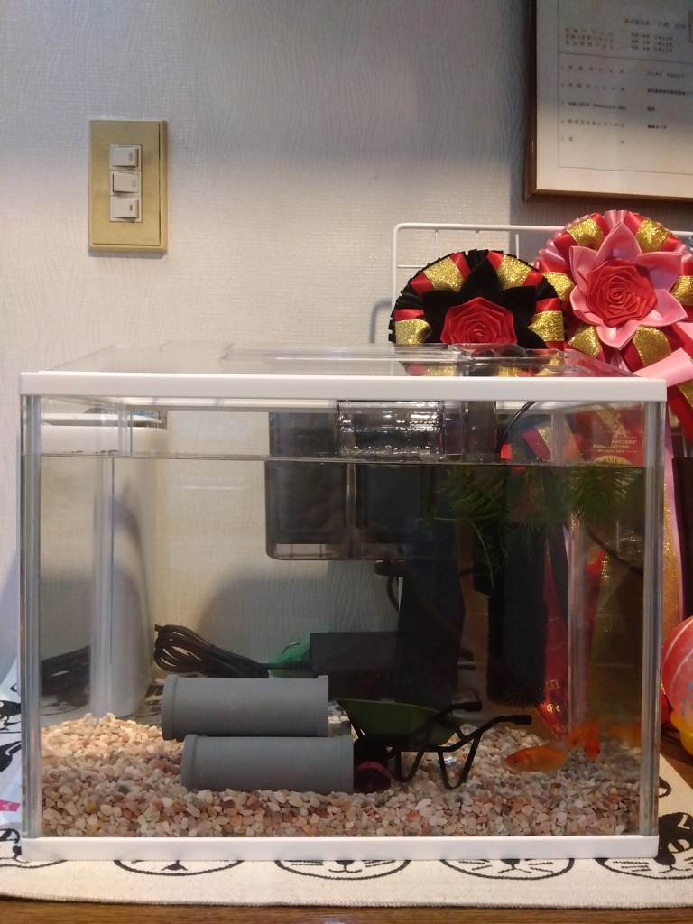 スリムアクアセット 300: 100｜業務用トリミング用品通販ショップ