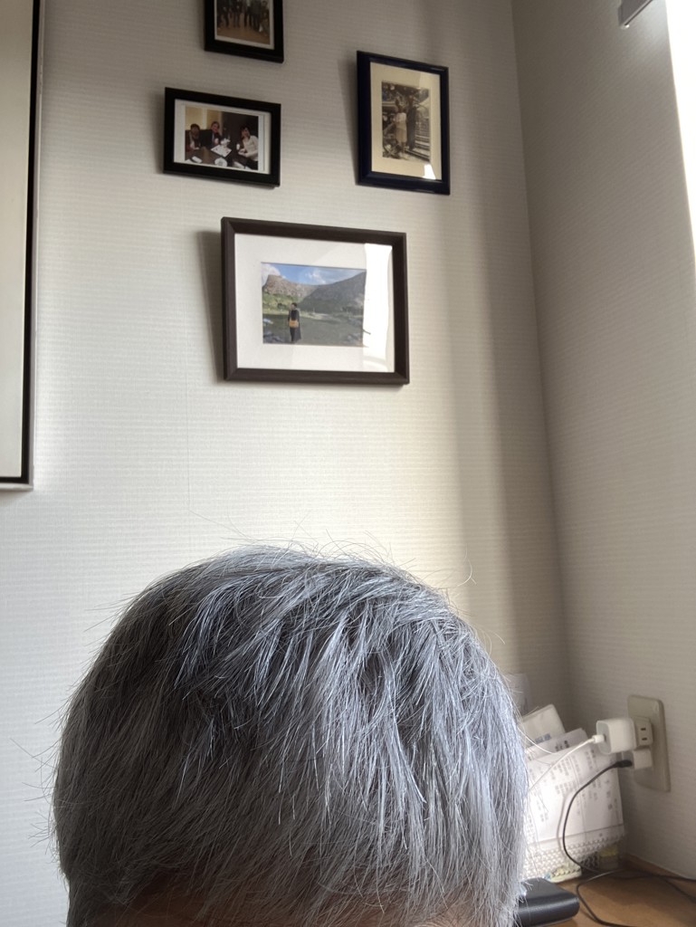 ハルメク つや髪 プラチナグレイカラー: ｜ カタログ通販のハルメク