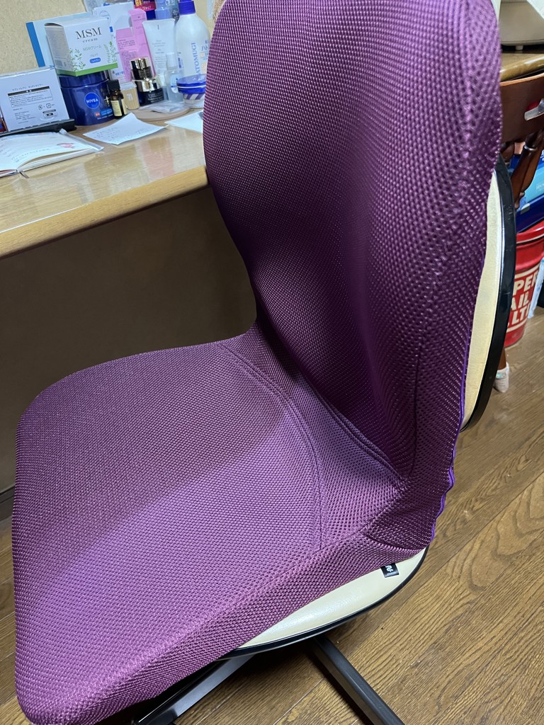 pinto 置くだけラクッションビューティー Hi（専用カバー付き