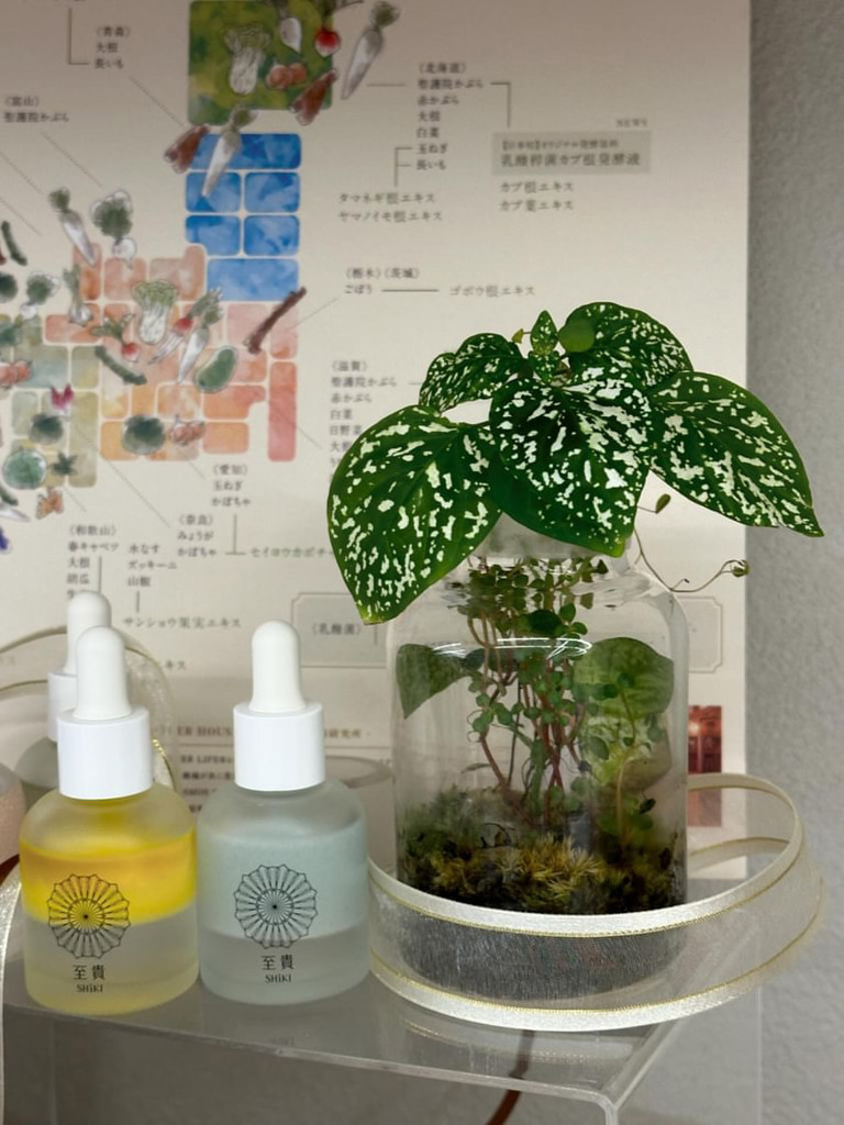 トライアルセット(秋冬セット) 20ml / 至貴 -SHiKI- | 野菜発酵化粧品