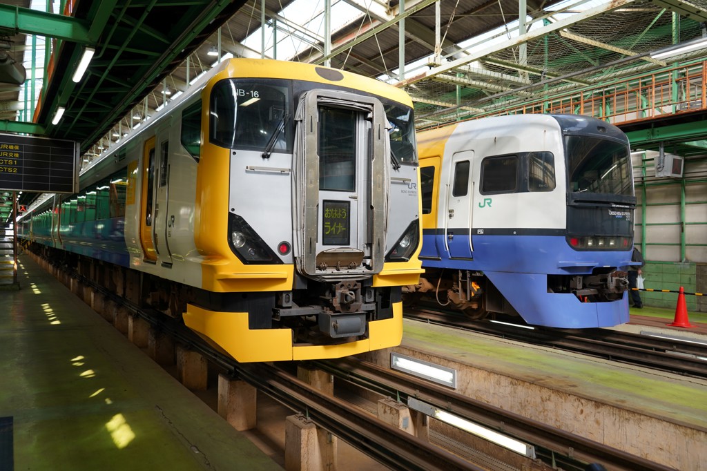 激レア★千マリ 幕張電車区 所属電略表記プレート 幕張車両センター 激レア☆千マリ 幕張電車区 所属電略表記プレート 幕張車両センター