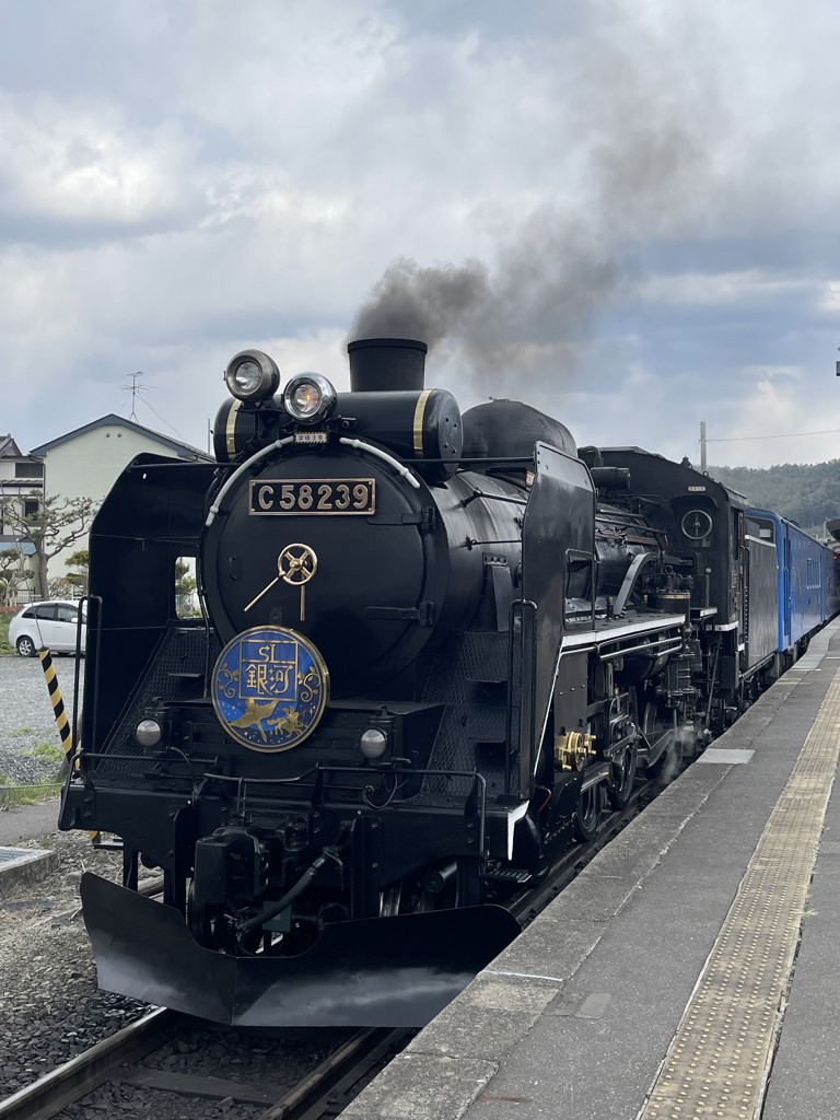 バスタオルとフリースタンド tower バスタオル干し バスタオルハンガー タオルスタンド