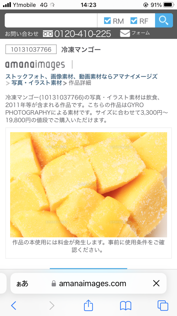 宮崎県産マンゴー 黒木農園の冷凍カットマンゴー（種なし）500g