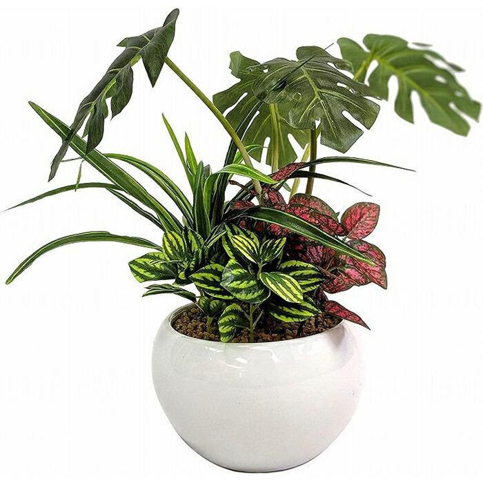 人工観葉植物 モンステラ寄せ植えジャングルポット | 兵庫県神戸市