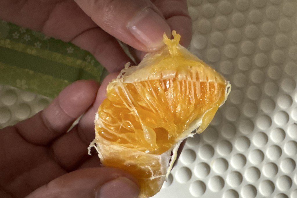 ＊kto＊　甘平4kg+デコ4.5kgぐるりん 甘平🍊(かんぺい)｣ちゃん、来ましたよ‼ この子も、マツコDXさんの番組