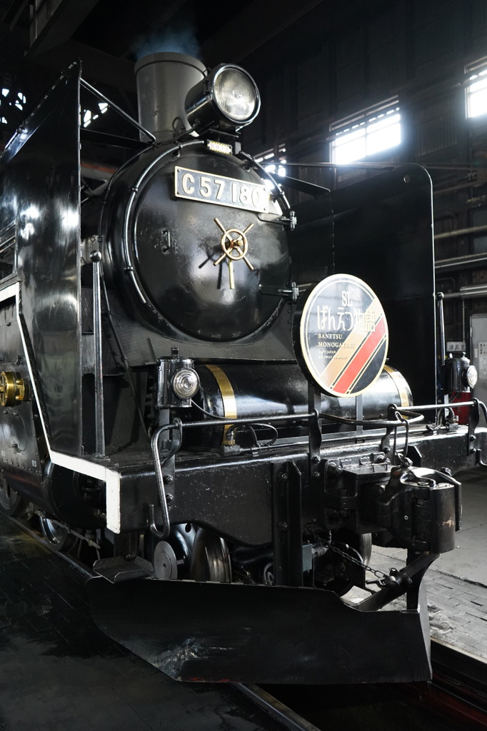 9月4日(木)・11日(木)開催】蒸気機関車撮影会「微睡の貴婦人」(JR