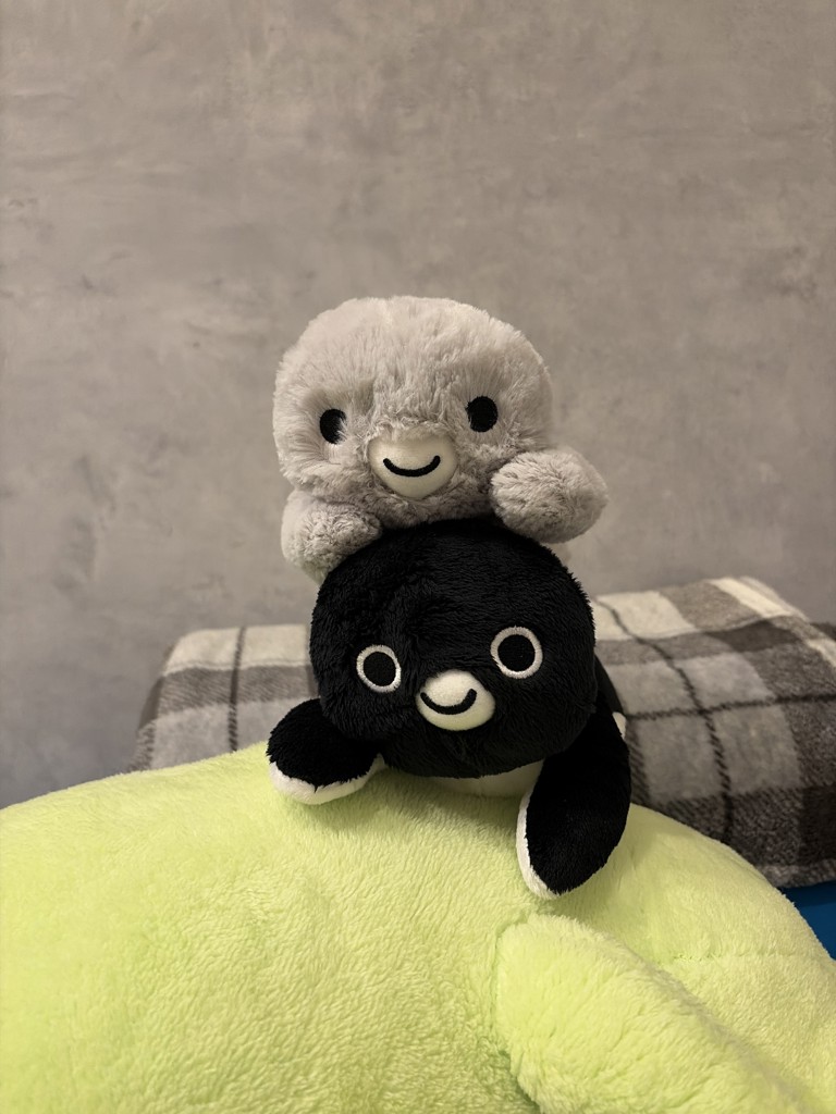 入荷待ち】＜再販決定＞ Suicaのペンギン くたっとぬいぐるみ（一緒に