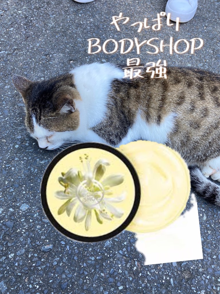 投稿写真