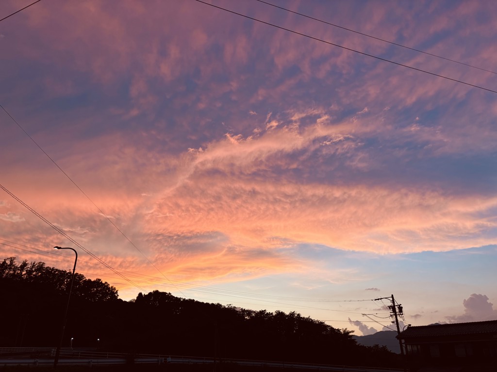 2025年秋発売予定】トゥルリッチピール – My NADESHICO Store