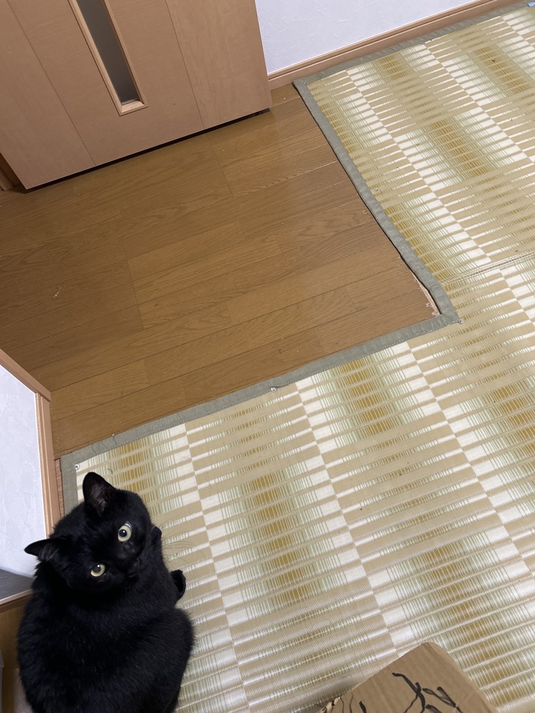 畳の上に敷く カーペット 日和 PP 洗える 水洗い｜イケヒコ公式通販