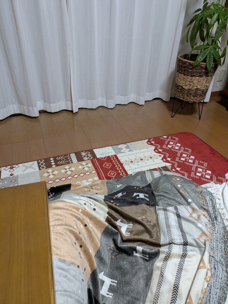 ラグ フランネル チャーム 洗える ノルディック 90×130cm 180×180cm