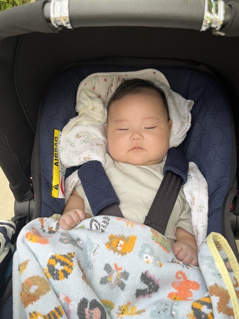 FEILER LOVERARY ハローメイト プティバス ベビー FEILER LOVERARY ハローメイト プティバス ベビー FEILER