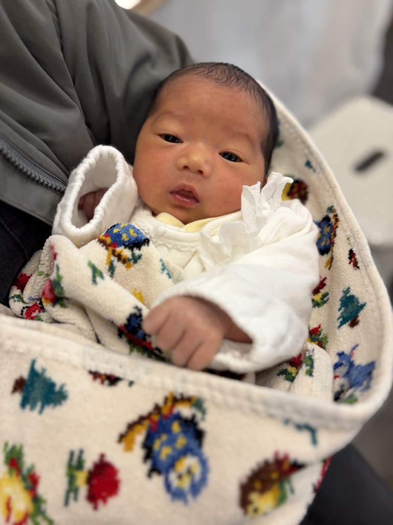 ハイジフレンズフォレスト プティバス(アイボリー): FEILER