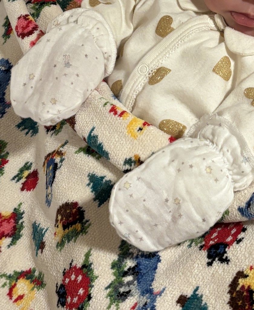 【新品未使用】フェイラー　ハイジフレンズフォレスト　プティバス　アイボリー ハイジフレンズフォレスト プティバス(アイボリー): FEILER