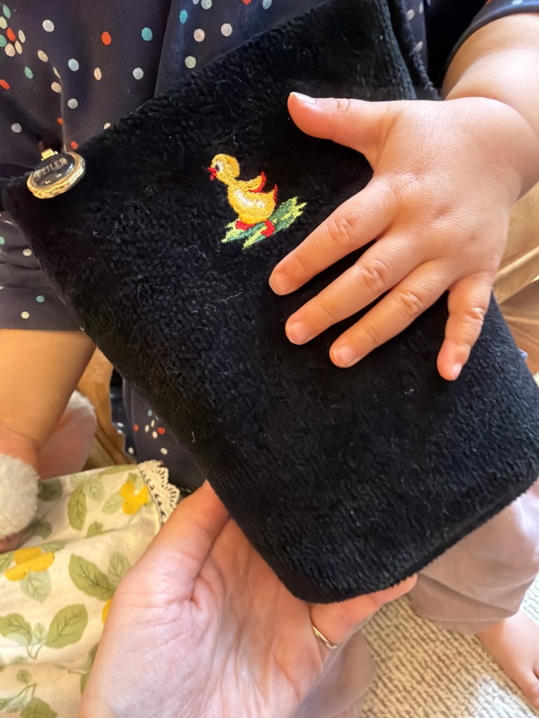 ハイジ ミニショルダーバッグ HE-260295（WEB限定）(ブラック): FEILER