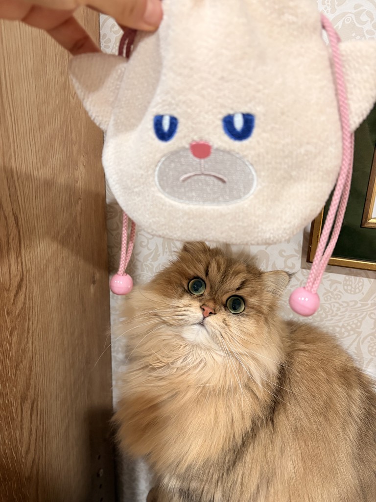 モフモフネコチャン ネコチャン巾着 L/MNC-260288(ベージュ): LOVERARY