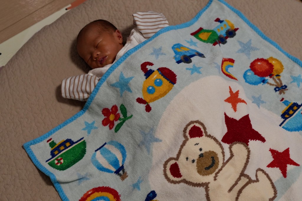 リーベトレジャーボックス プティバス(ペールブルー): FEILER