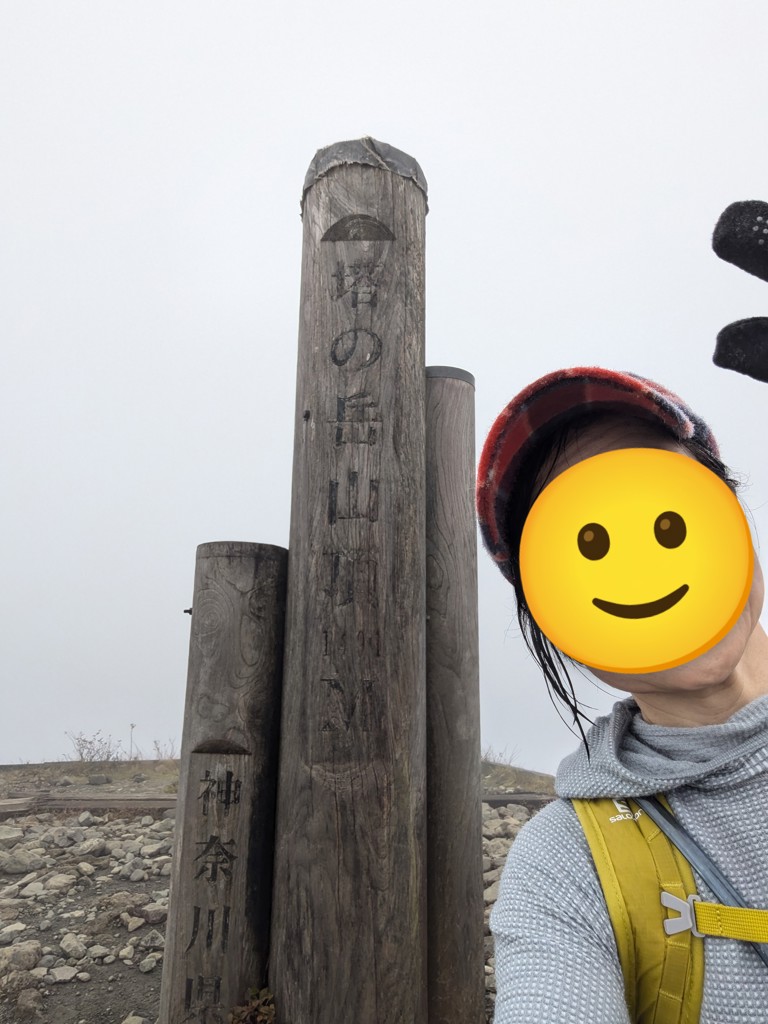 投稿写真