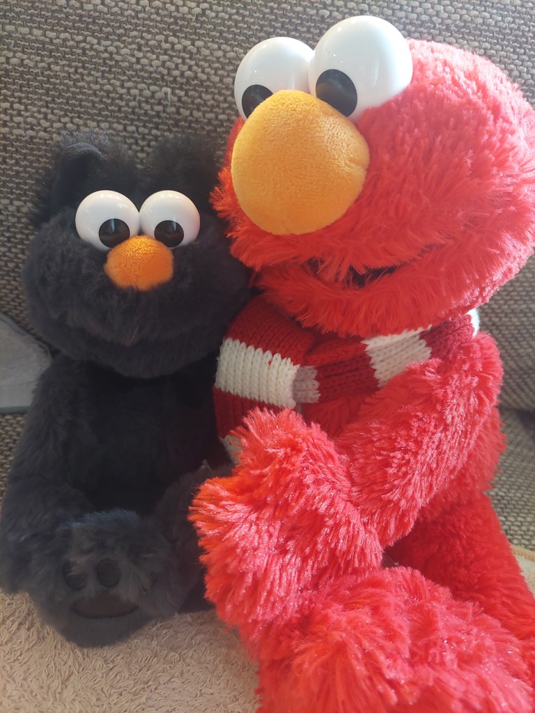 ぬいぐるみS エルモ キャット(ぬいぐるみ)｜SESAME STREET